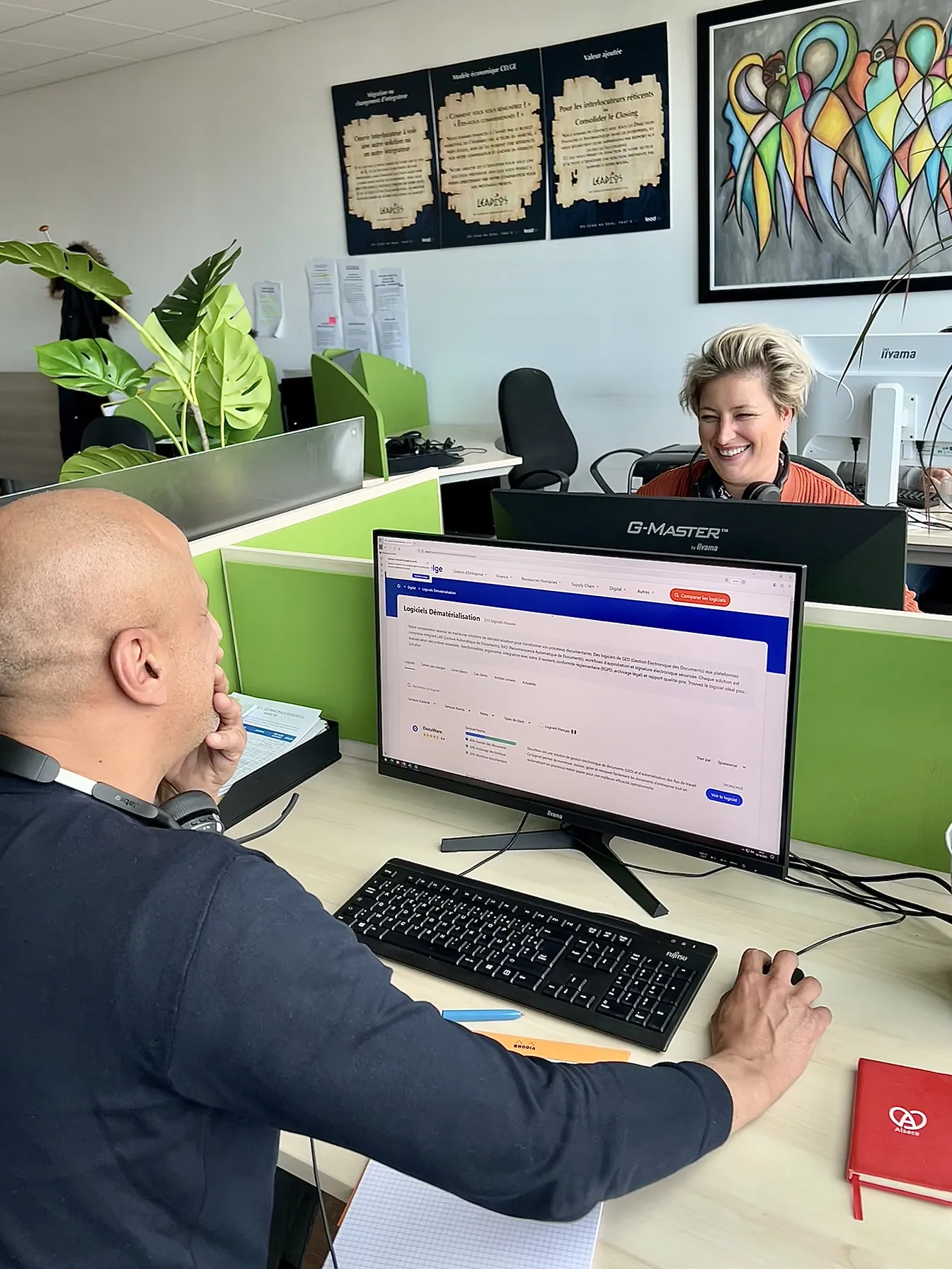 Software audit expert