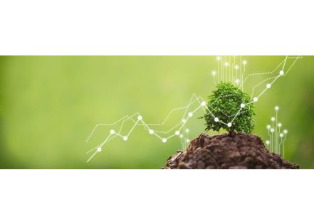 En 2023, les ETI conservent leur dynamique d’investissement