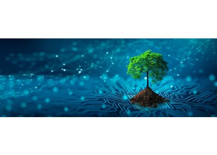 Green IT : Comment réduire l’empreinte carbone de votre entreprise ?