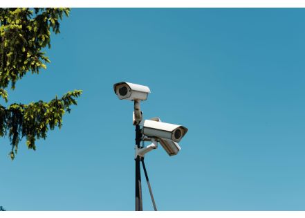 La veille technologique et informatique : comment rester compétitif