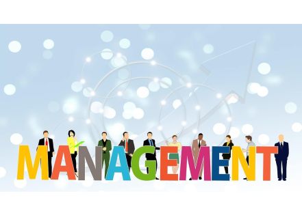 Les différents types de management appliqués en entreprise (démocratique, participatif, autocratique)