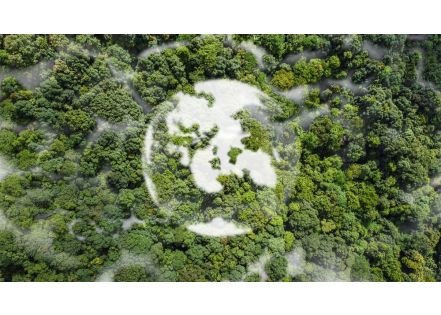 Comment mesurer l’impact carbone du cloud ?