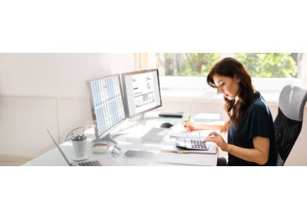 Combien les entreprises investissent-elles pour un logiciel immobilisations ?