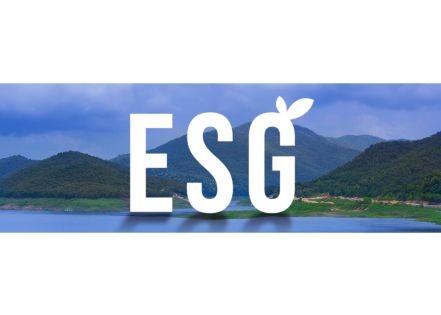 Le secteur public comme source d’inspiration du privé pour les politiques ESG