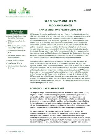Livre blanc : SAP Business One dans 20 ans | ERP | CELGE