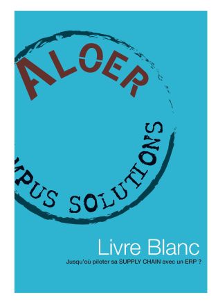 Livre Blanc : Jusqu’où piloter sa supply chain avec un ERP ?