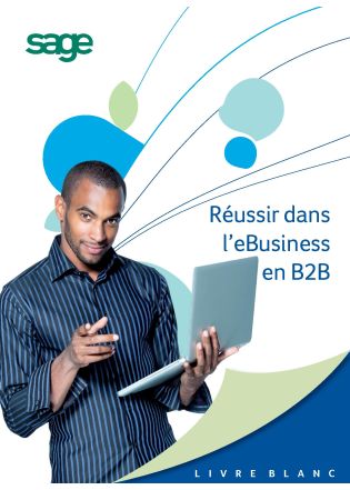 Livre Blanc : Réussir dans l’eBusiness en B2B