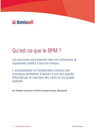 Livre Blanc : Qu’est-ce que le BPM ?