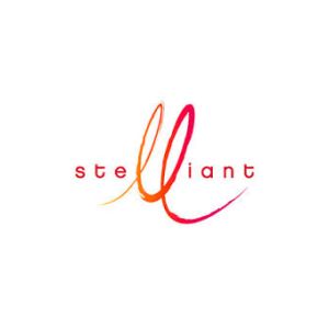 Groupe Stelliant