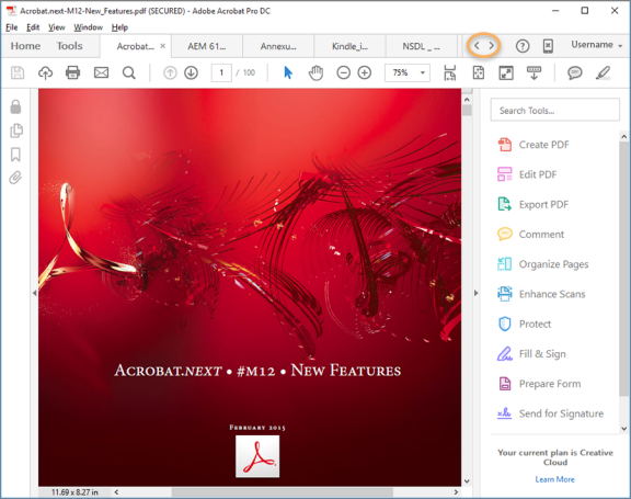 Adobe Acrobat