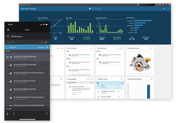 Infor Distribution SX.e