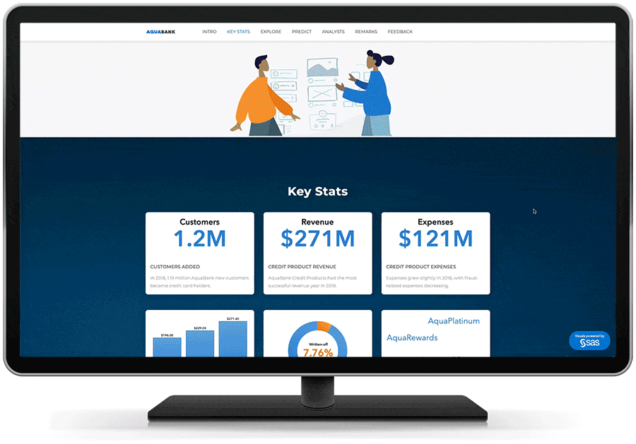 SAS Visual Analytics