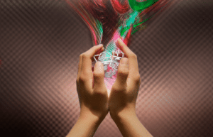 transformation digitale image