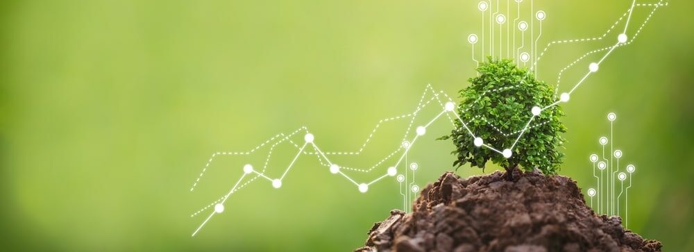 un investissement qui croît