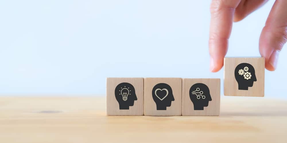 Compétences transversales