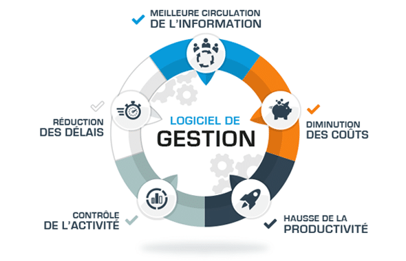 Pourquoi intégrer un logiciel de gestion dans mon entreprise ?