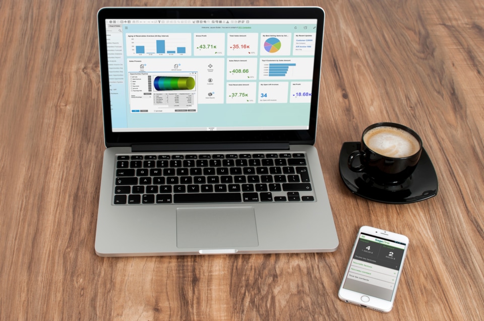 logiciel SAGE vs SAP