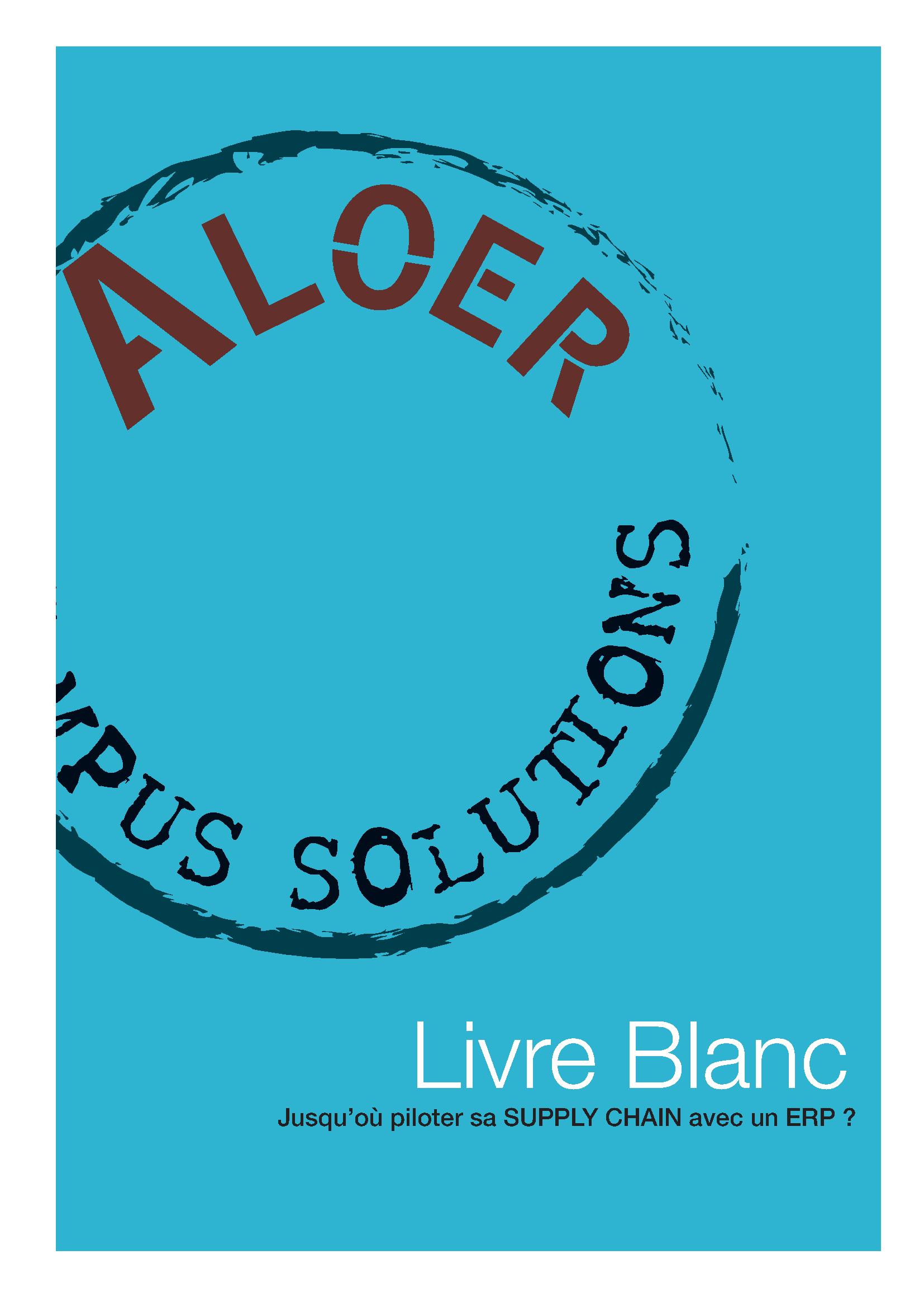 Livre Blanc : Jusqu’où piloter sa supply chain avec un ERP ?