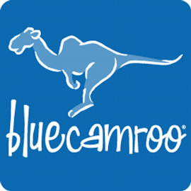 BlueCamroo logo