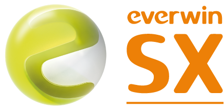 Everwin SX logo